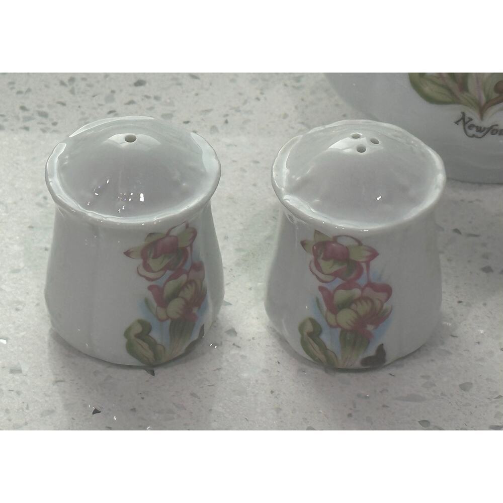 Mid Century Newfoundland Hand Painted Fine China Sugar Cream Salt Pepper Set - Picture 3 of 7
